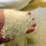 Apoyan decreto de Abinader que resguarda arroz dominicano