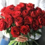 ¡Ya están llegando las flores! Miami recibe casi mil millones de flores previo al Día de San Valentín
