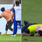 Violento ataque de un enjambre de abejas a un árbitro en pleno partido de fútbol