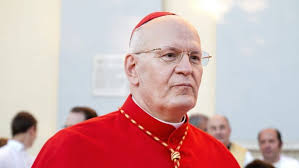 peter erdo