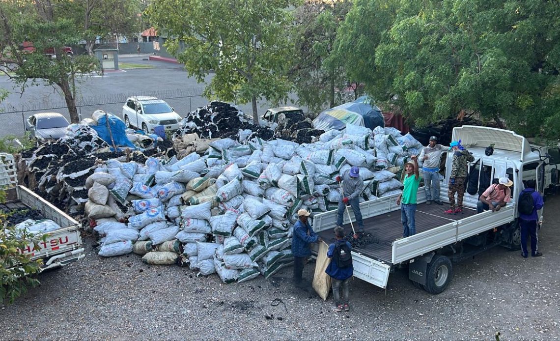 Autoridades decomisan más de 900 sacos de carbón vegetal en Azua