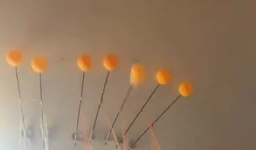 Se harta del ruido de sus vecinos y no tiene piedad al vengarse