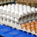 Tras meses de alza, los precios de los huevos en EE. UU. bajan, pero continúan cerca de su punto más alto