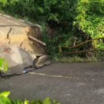 Video: Puente se derrumba por intensas lluvias en Villa Tapia, Hermanas Mirabal