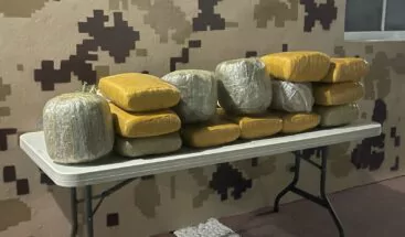 Autoridades decomisan 135 libras de presunta marihuana en Pedernales