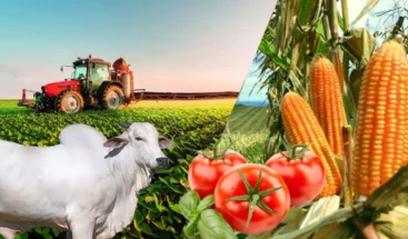 Las primas netas cobradas en seguro agropecuario caen 16.5 % en primeros meses del 2025