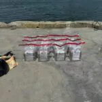 DNCD incauta 60 paquetes de droga durante operativo en costas de SPM