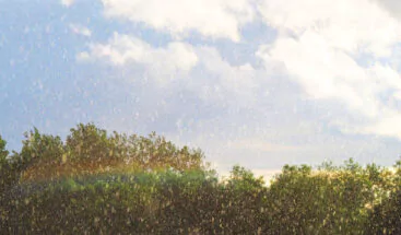 Aguaceros locales y temperaturas calurosas marcarán la jornada de este sábado