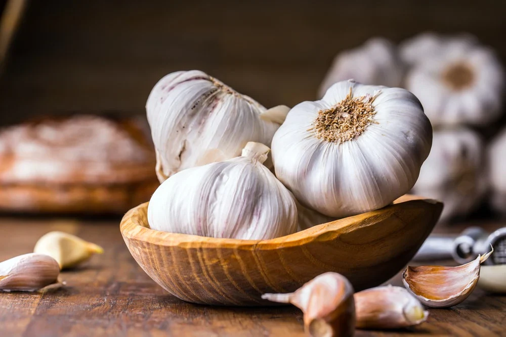 6 national garlic day 2 1728x 3f9e33ba f5bb 4568 a8f5 c840b7727e91 (2)