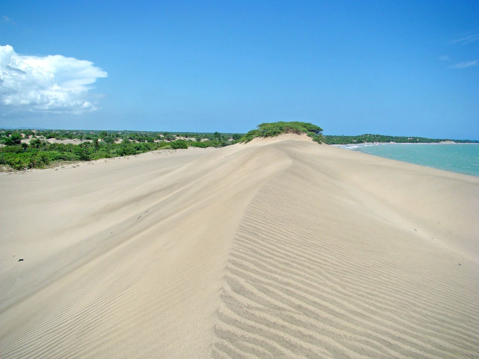 dunas de bani 2