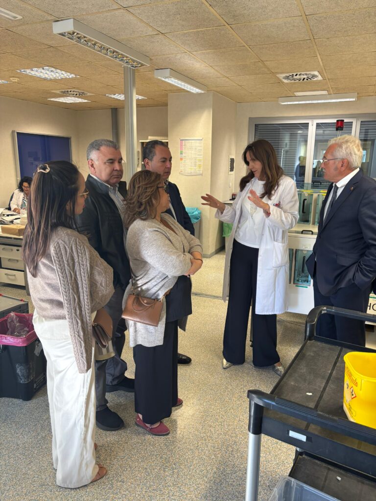 whatsapp image 2025 09 26 at 8.32.32 am